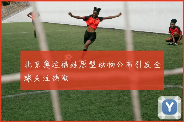 北京奥运福娃原型动物公布引发全球关注热潮