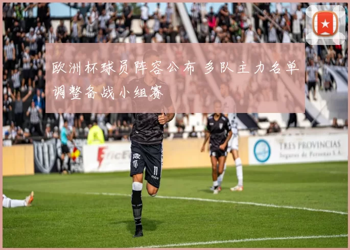 欧洲杯球员阵容公布 多队主力名单调整备战小组赛