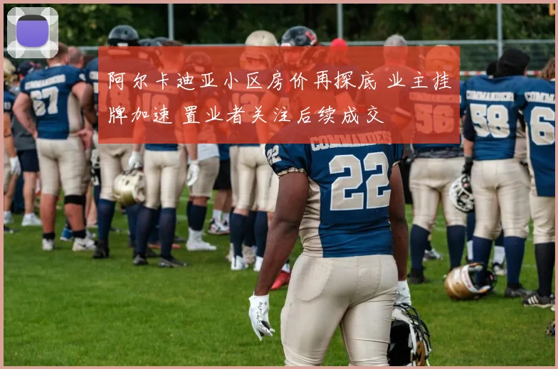 阿尔卡迪亚小区房价再探底 业主挂牌加速 置业者关注后续成交