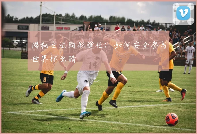 揭秘合法购彩途径：如何安全参与世界杯竞猜